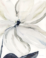 Small/B46823.jpg