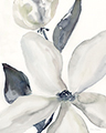 Small/B46824.jpg